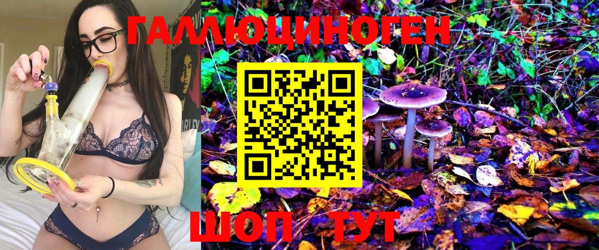 Галлюциногенные грибы Magic Shrooms Касимов