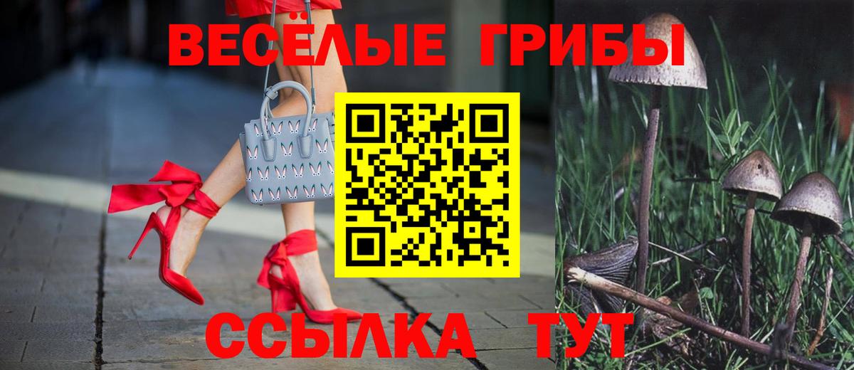 Псилоцибиновые грибы ЛСД  Галлюциногенные грибы мухоморы  купить наркоту  Вход с VPN  Касимов 